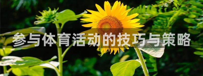 速播体育网：参与体育活动的技巧与策略