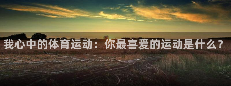 速播体育直播：我心中的体育运动：你最喜爱的运动是什么？