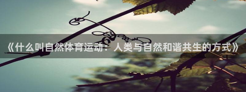 速播体育网：《什么叫自然体育运动：人类与自然和谐共生的方式》