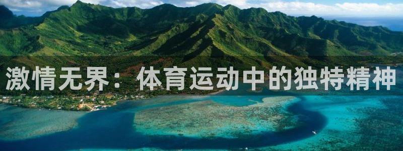 速播体育网：激情无界：体育运动中的独特精神