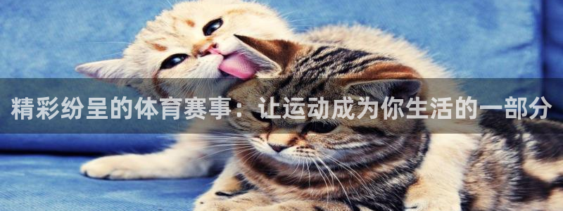 速播体育直播：精彩纷呈的体育赛事：让运动成为你生活的一部分