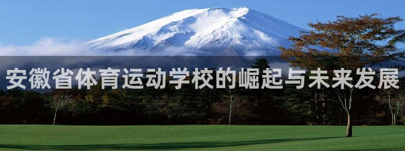 速播体育：安徽省体育运动学校的崛起与未来发展