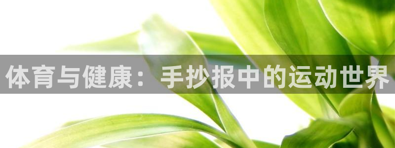 速播体育网：体育与健康：手抄报中的运动世界