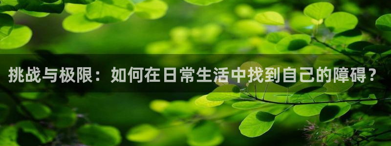 速播体育网：挑战与极限：如何在日常生活中找到自己的障碍？